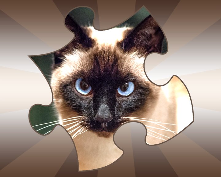 Cat Jigsaw Puzzles Image