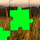 ByteSwarm Puzzle Icon Image