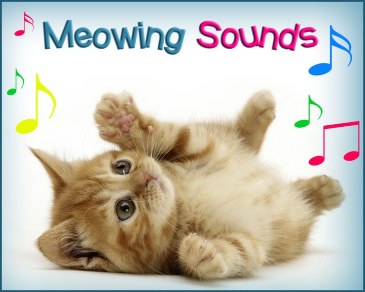 Meowing Cat Sounds Image
