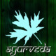 Ayurveda Icon Image