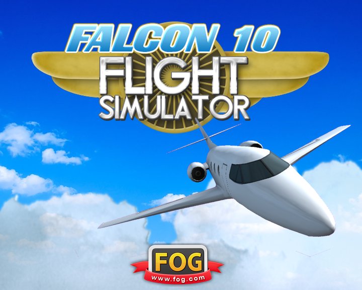 Falcon10 Flight Simulator Image