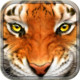 Tiger Simulator 3D Wildlife for Windows Phone