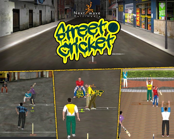 Street Cricket Image