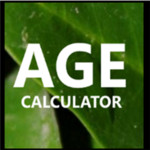 Age Calculator Advanced Image