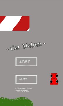 Car Slalom Screenshot Image