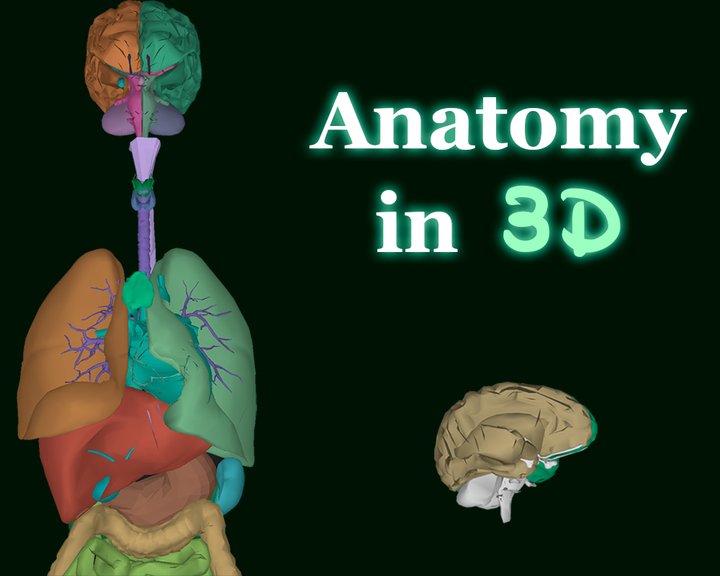 Organs 3D (Anatomy) Image