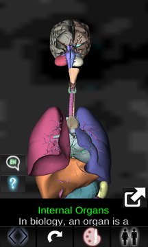 Organs 3D (Anatomy) App Screenshot 1