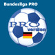 Bundesliga Pro Icon Image