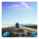 Traffic Racing Rider Icon Image