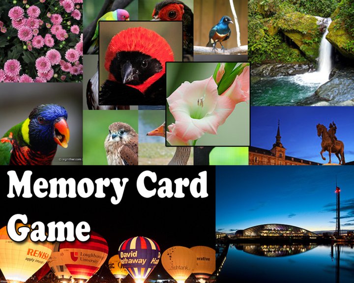 Memory Card Image