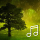 Relaxing Sounds of Nature -The Pure Meditation Album Icon Image