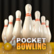 Pocket Bowling 3D HD Icon Image