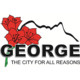 George Icon Image