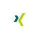 XING Icon Image