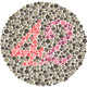 Color Blindness Test Icon Image