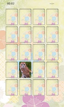 Owl Memory Screenshot Image