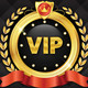 1010 Blocks VIP Icon Image