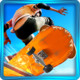 3D Real Skate Icon Image