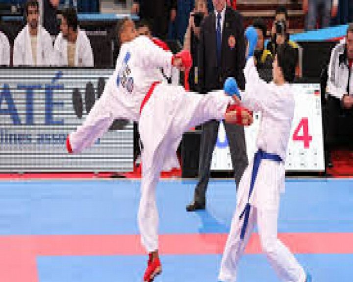 Karate Kumite Training Image