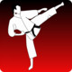 Karate Kumite Training Icon Image
