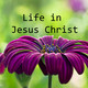 Life in Jesus Christ