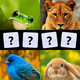 What's the Animal? Icon Image