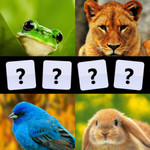 What's the Animal? 1.2.0.0 XAP