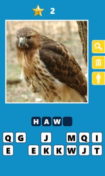 What's the Animal?