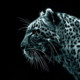 Animal Wallpapers 3 Icon Image