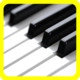 Mini Piano Icon Image