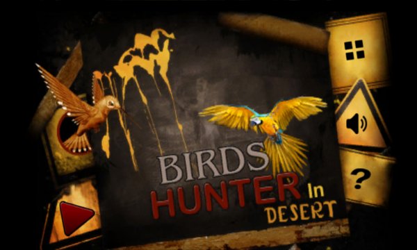 Birds Hunter In Desert