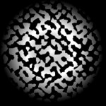 Simply White Noise Image