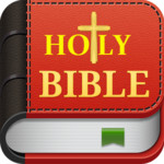 Holy Bible Worldwide Image
