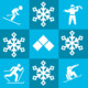 Winter Sports Icon Image