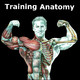 Training Anatomy Icon Image