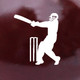 Cricket Videos Icon Image