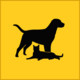 Guess the Breed Icon Image