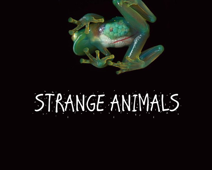 Strange Animals Image