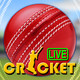 Cricket-Live Multiplayer Icon Image