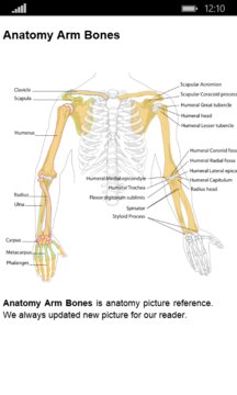 Anatomy Atlas Screenshot Image