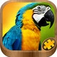 Animal Puzzle Games for Kids Icon Image