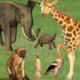 Click Zoo Icon Image