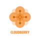 Cloudberry Icon Image