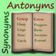 Synonyms and Antonyms Challenge Icon Image