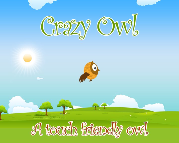 Crazy Owl Image