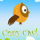 Crazy Owl Icon Image