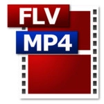 MP4 HD FLV Video Player Image