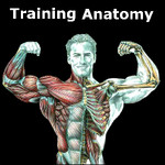 Training Anatomy Image