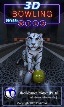 3D Bowling With Wild Screenshot Image