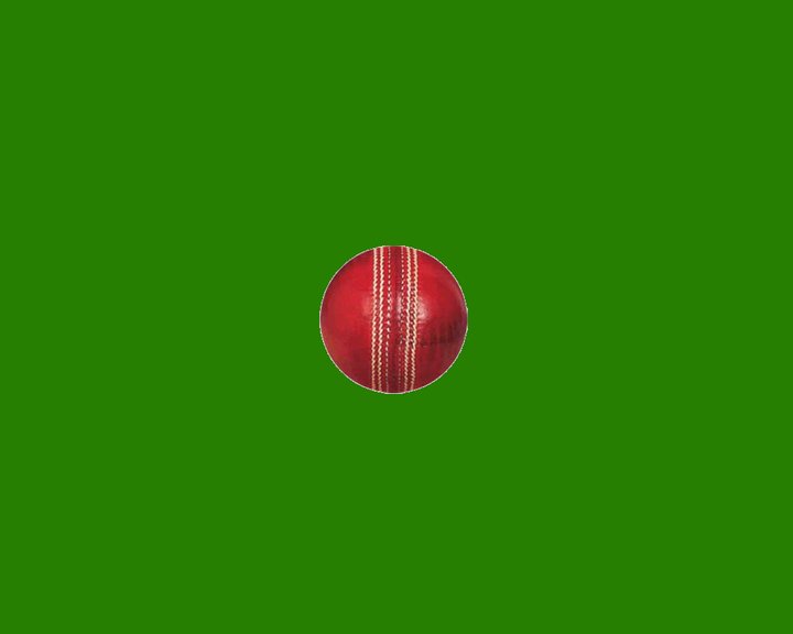 CricketCounter Image